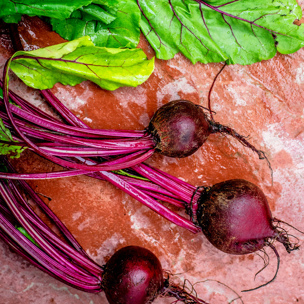 beetroot superfood