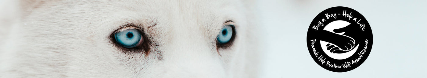 BROTHER-WOLF-ANIMAL-RESCUE-ASHEVILLE