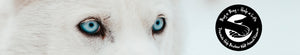 BROTHER-WOLF-ANIMAL-RESCUE-ASHEVILLE