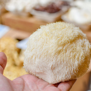 organic lion's mane mushroom