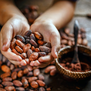 organic cacao