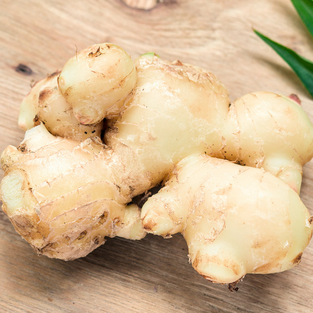 benefits of ginger